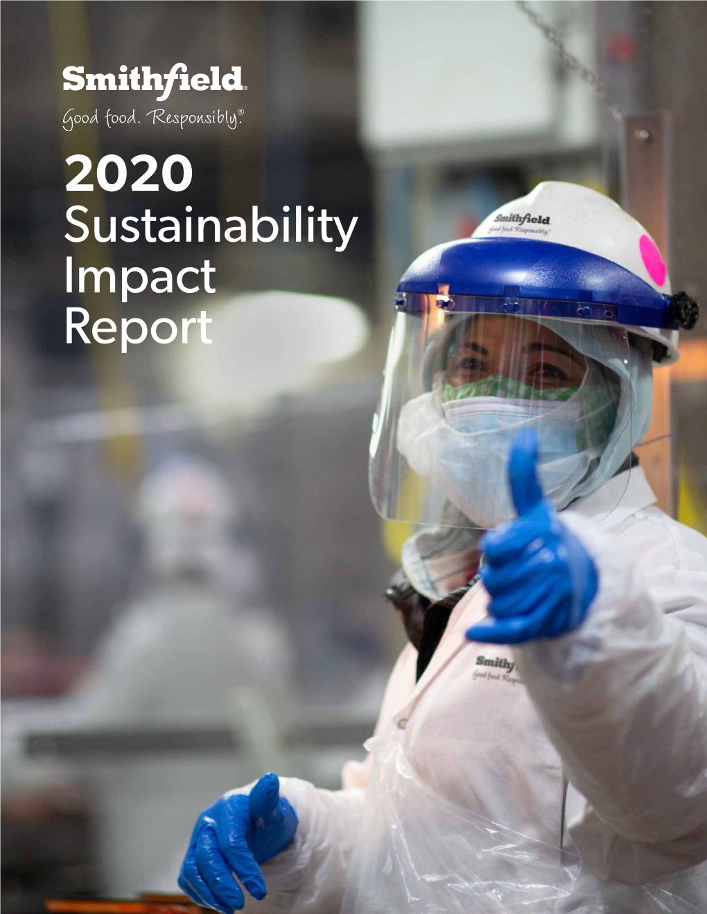 2020 Sustainability Impact Report Tracking Performance Our in 2020