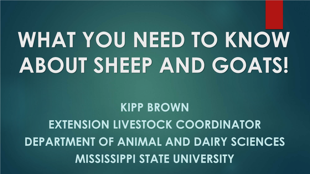 What You Need to Know About Sheep and Goats!