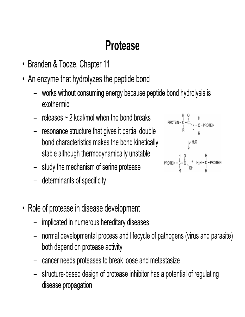 Protease.Pdf