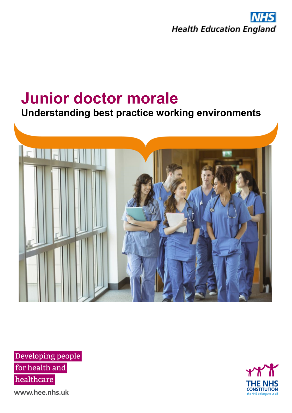 Junior Doctor Morale Understanding Best Practice Working Environments