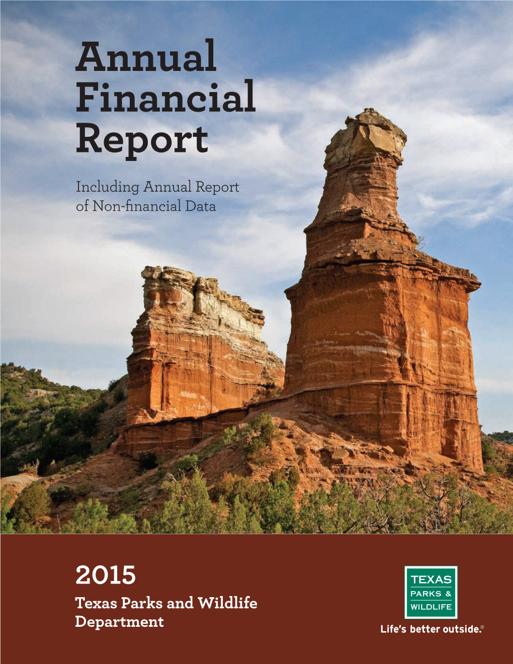 FY15 Annual Financial Report