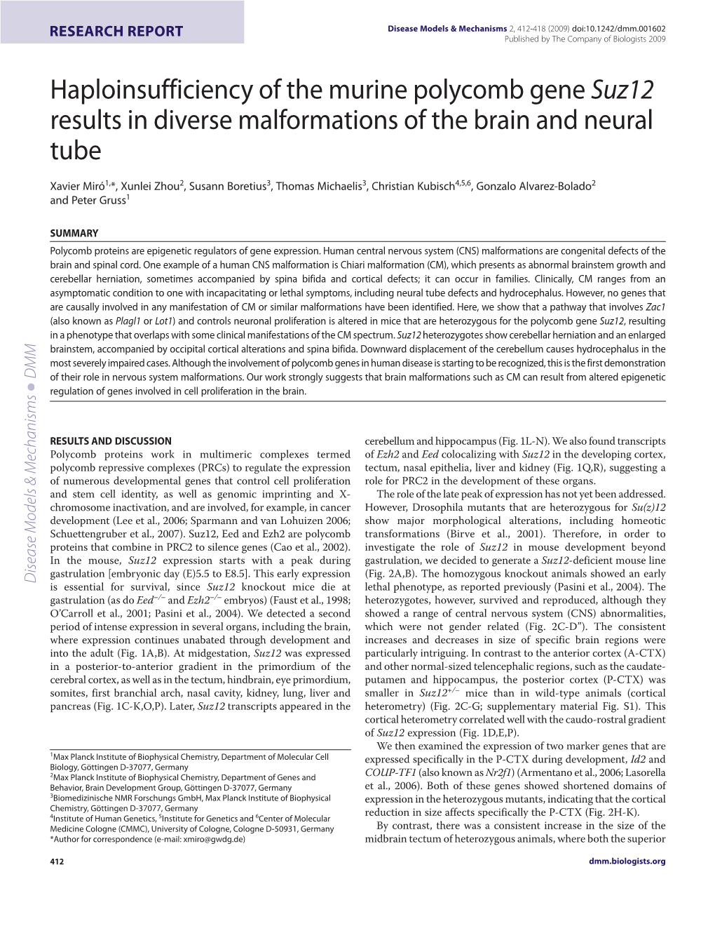 Haploinsufficiency of the Murine Polycomb Gene Suz12 Results in Diverse Malformations of the Brain and Neural Tube