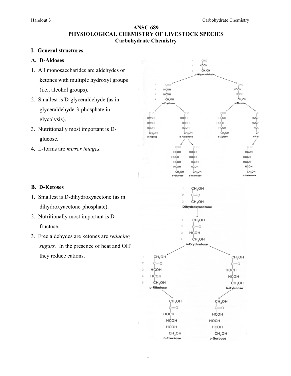 Handout 3 Carbohydrate Chemistry ANSC 689 PHYSIOLOGICAL CHEMISTRY of LIVESTOCK SPECIES Carbohydrate Chemistry I