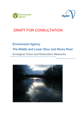 Environment Agency the Middle and Lower Stour and Moors River Ecological Vision and Restoration Measures