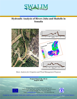Hydraulic Analysis of Rivers Juba and Shabelle in Somalia