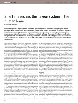 Smell Images and the Flavour System in the Human Brain Gordon M
