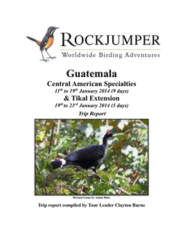 Guatemala Central American Specialties 11Th to 19Th January 2014 (9 Days) & Tikal Extension Th Rd 19 to 23 January 2014 (5 Days)