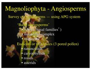 Magnoliophyta - Angiosperms Survey of Angiosperms — Using APG System