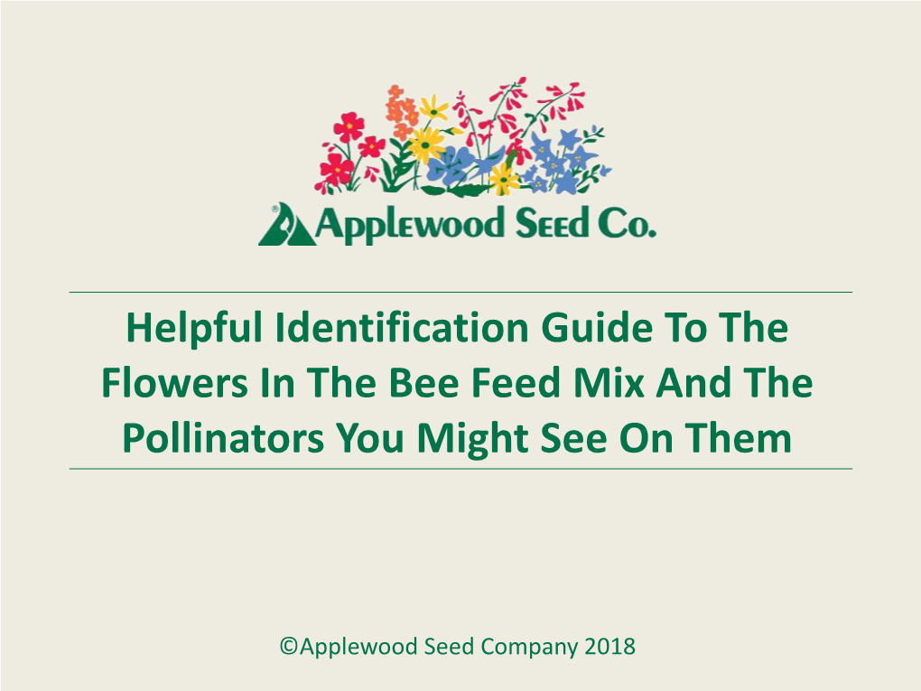 Helpful Identification Guide to the Flowers in the Bee Feed Mix and the Pollinators You Might See on Them