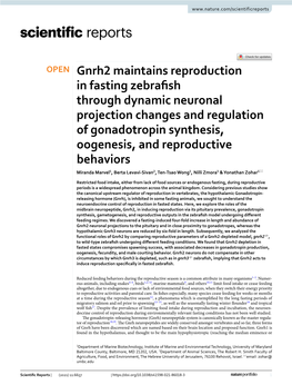 Gnrh2 Maintains Reproduction in Fasting Zebrafish Through Dynamic Neuronal Projection Changes and Regulation of Gonadotropin