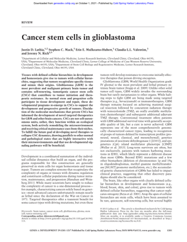 Cancer Stem Cells in Glioblastoma