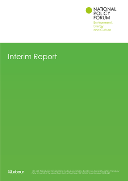 Interim Report