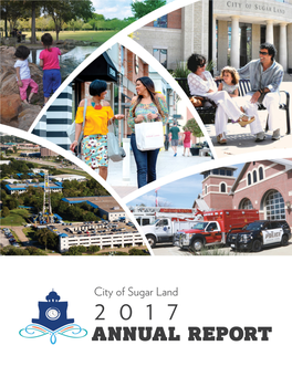 Annual Report City Council