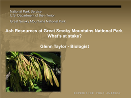 Ash Resources at Great Smoky Mountains National Park What's At