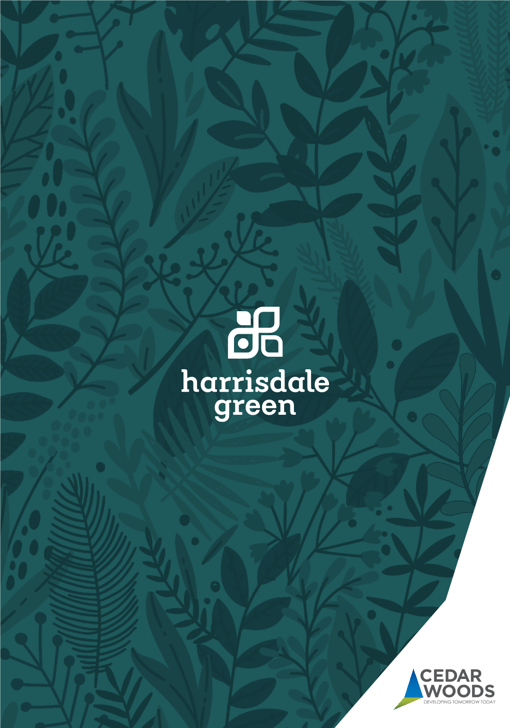 Come Home to Convenience at Harrisdale Green