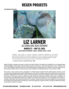 Liz Larner As Stars and Seas Entwine March 27 – May 22, 2021 Gallery Hours by Appointment: Tuesday – Saturday, 10:00 Am – 6:00 Pm