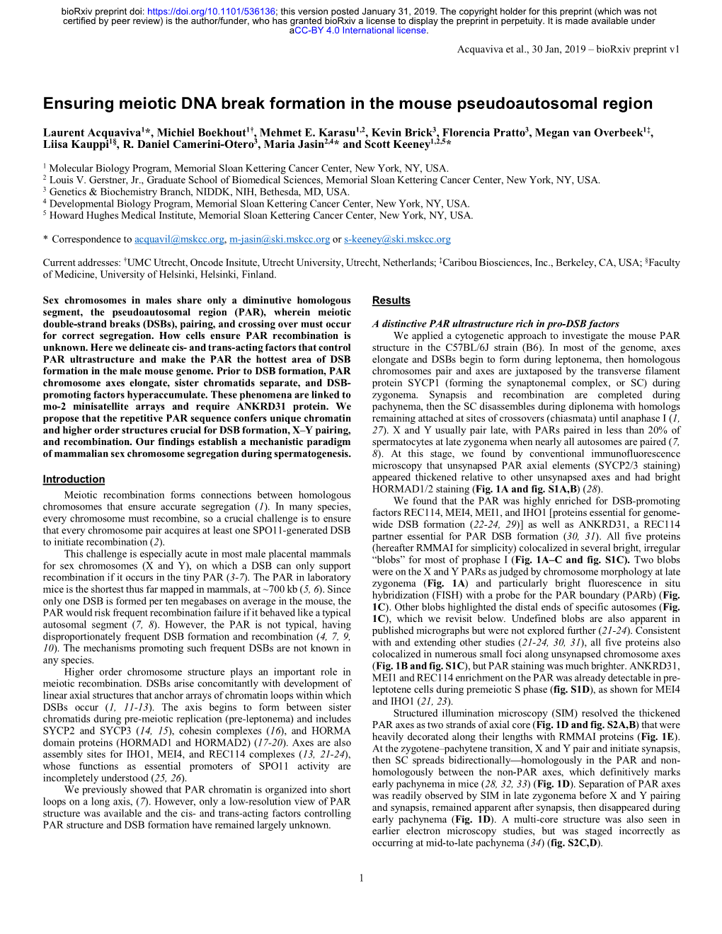 Ensuring Meiotic DNA Break Formation in the Mouse Pseudoautosomal Region