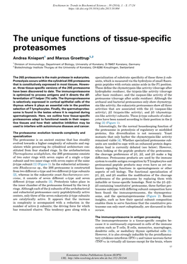The Unique Functions of Tissue-Specific Proteasomes