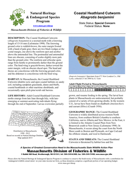 Coastal Heathland Cutworm, Abagrotis Benjamini