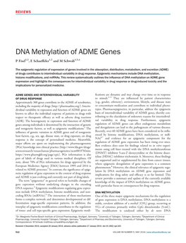 DNA Methylation of ADME Genes