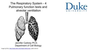 The Respiratory System - 4 Pulmonary Function Tests and Alveolar Ventilation