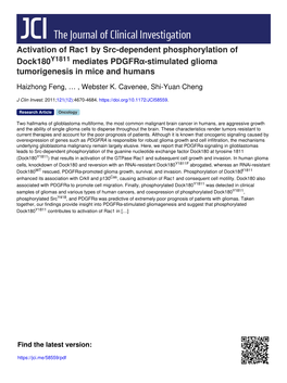 Activation of Rac1 by Src-Dependent Phosphorylation of Dock180y1811 Mediates Pdgfrα-Stimulated Glioma Tumorigenesis in Mice and Humans