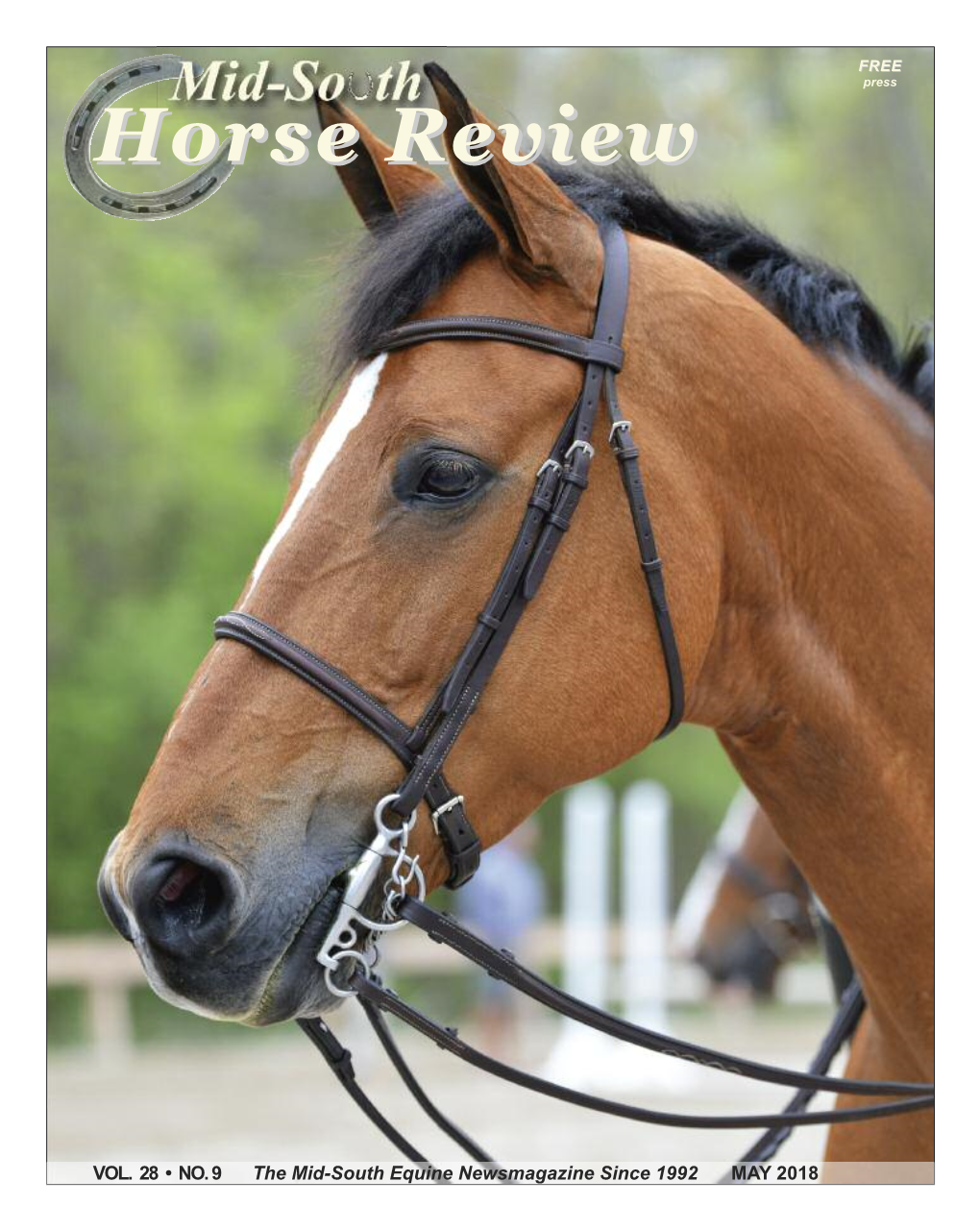 Horse Review • on the C Over : Nixon, Ridden by Isabel Dlabach; Owned and Trained Horse Review by Ashley Fant
