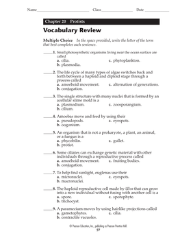 Vocabulary Review