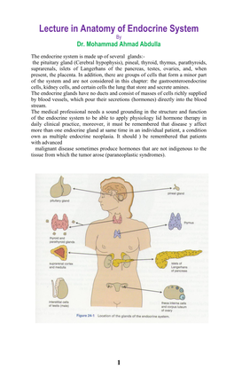 Lecture in Anatomy of Endocrine System by Dr