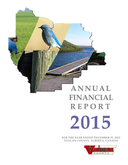 2015 Annual Financial Report