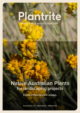 Native Australian Plants for Landscaping Projects
