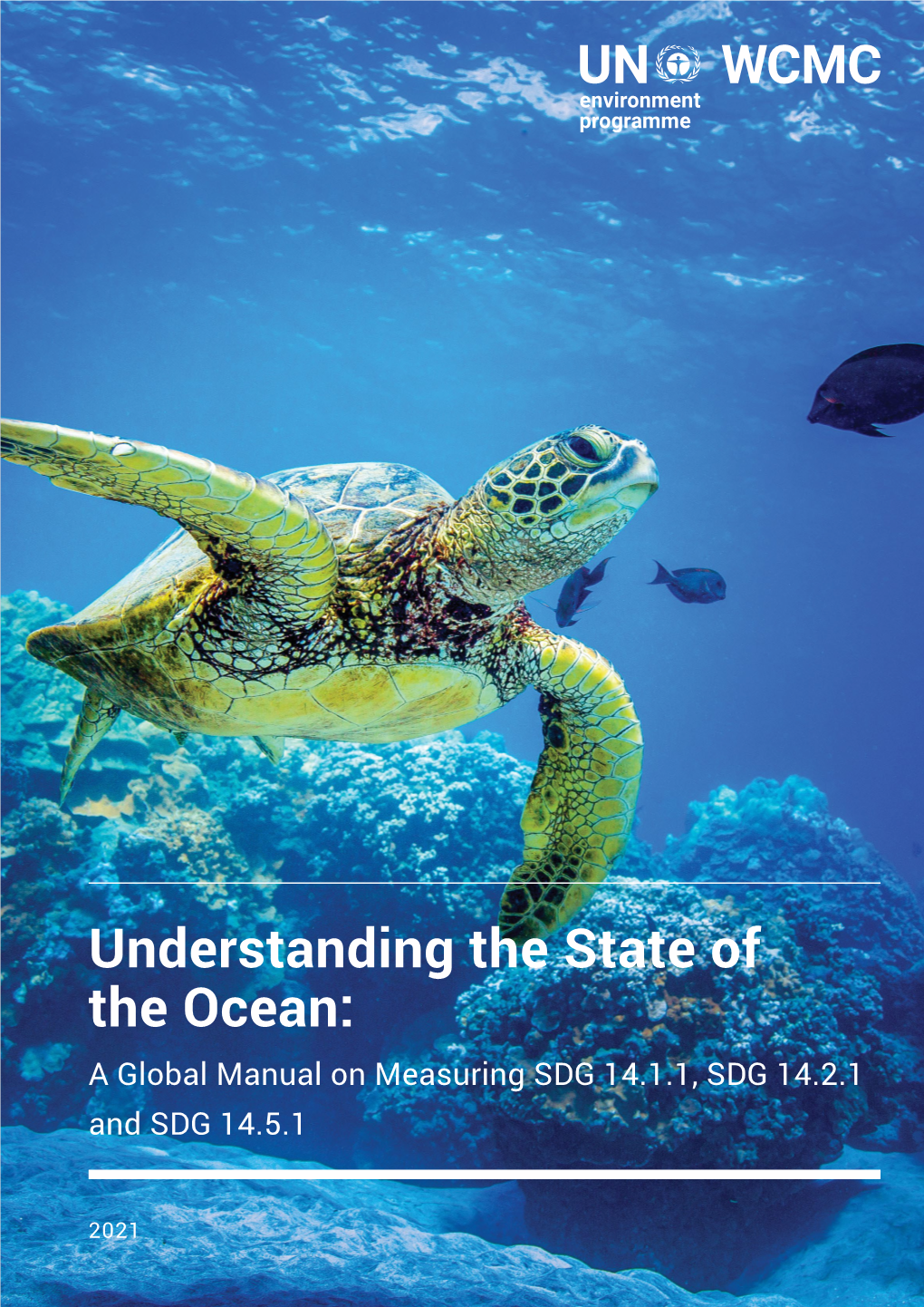 Understanding the State of the Ocean
