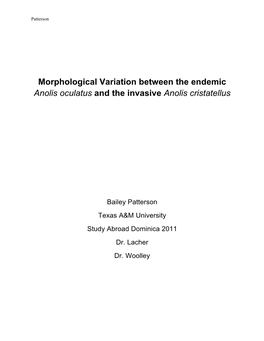 Morphological Variation Between the Endemic Anolis Oculatus and the Invasive Anolis Cristatellus