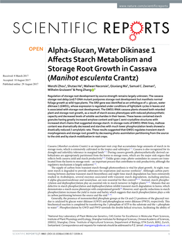Alpha-Glucan, Water Dikinase 1 Affects Starch Metabolism