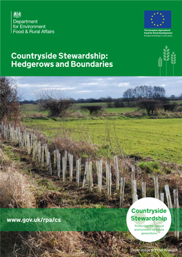 Countryside Stewardship: Hedgerows and Boundaries