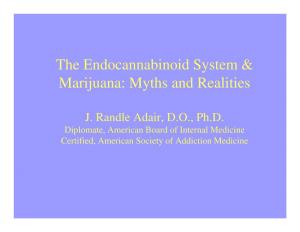 The Endocannabinoid System & Marijuana