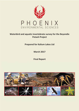 Waterbird and Aquatic Invertebrate Survey for the Beyondie Potash Project