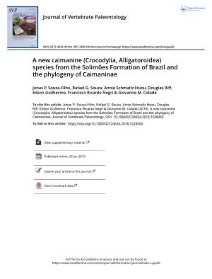 A New Caimanine (Crocodylia, Alligatoroidea) Species from the Solimões Formation of Brazil and the Phylogeny of Caimaninae