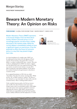 Beware Modern Monetary Theory: an Opinion on Risks