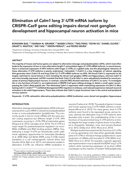 UTR Mrna Isoform by CRISPR–Cas9 Gene Editing Impairs Dorsal Root Ganglion Development and Hippocampal Neuron Activation in Mice