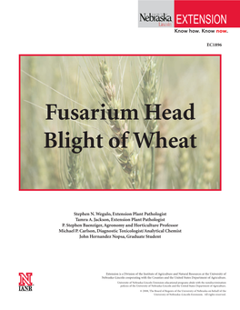 Fusarium Head Blight of Wheat