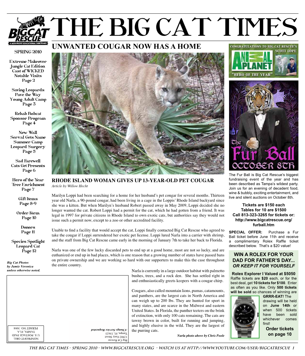 THE BIG CAT TIMES UNWANTED COUGAR NOW HAS a HOME Spring 2010