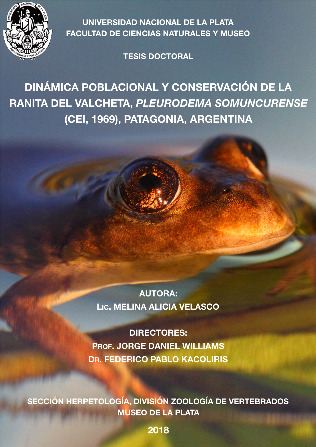 Dinámica Poblacional Y Conservación De La Ranita Del Valcheta, Pleurodema Somuncurense (Cei, 1969), Patagonia, Argentina