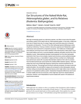 Ear Structures of the Naked Mole-Rat, Heterocephalus Glaber, and Its Relatives (Rodentia: Bathyergidae)