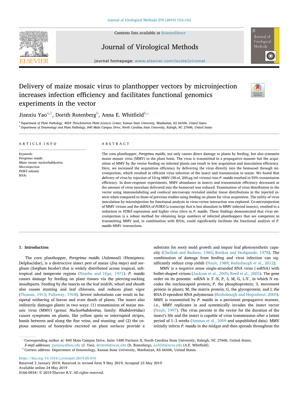 Journal of Virological Methods 270 (2019) 153–162