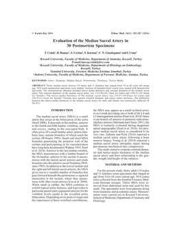 Evaluation of the Median Sacral Artery in 30 Postmortem Specimens