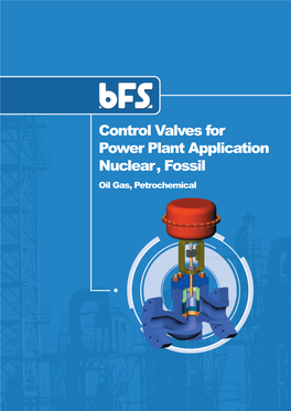 Control Valves for Power Plant Application Nuclear, Fossil