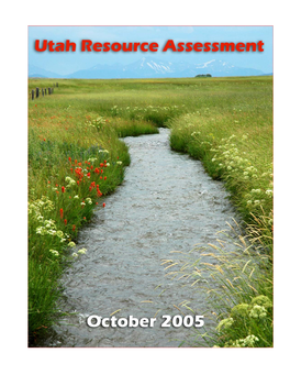 Utah Resource Assessment October 2005 About This Report: the Resource Assessment Was Designed to Gather and Summarize Information Specific to Utah