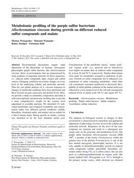 Metabolomic Profiling of the Purple Sulfur Bacterium Allochromatium
