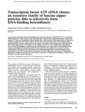 Transcription Factor ATF Cdna Clones: an Extensive Family of Leucine Zipper Proteins Able to Selectively Form DNA-Binding Heterodimers